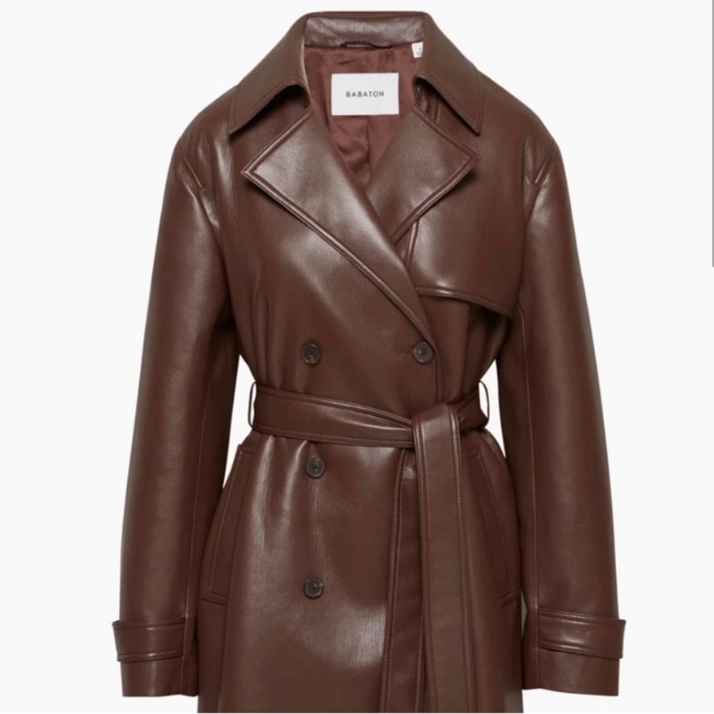 Aritzia Babaton Tabloid Trench Coat